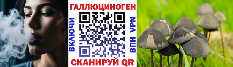 что такое наркотик  Юрьевец  Галлюциногенные грибы Cubensis 
